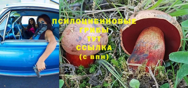 PSILOCYBIN Волоколамск